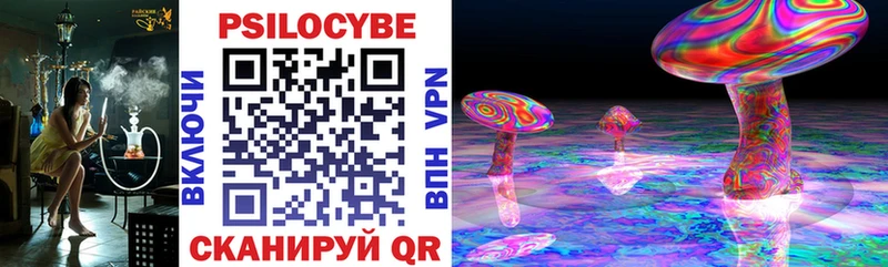 цены наркотик  Ленинск-Кузнецкий  Псилоцибиновые грибы Magic Shrooms 